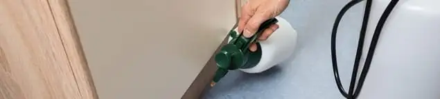 Bed bug exterminator treating baseboards and cracks with targeted spray in Milwaukee, WI