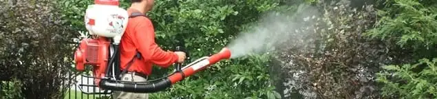 Mosquito control technician fogging shrubs and landscaping for mosquito treatment in Milwaukee, WI