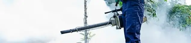 Pest control technician fogging an outdoor area for insect control in Milwaukee, WI