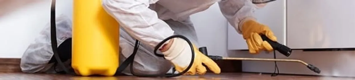 Roach exterminator treating cracks and crevices along kitchen baseboards in Milwaukee, WI