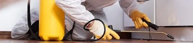 Roach exterminator treating cracks and crevices along kitchen baseboards in Milwaukee, WI