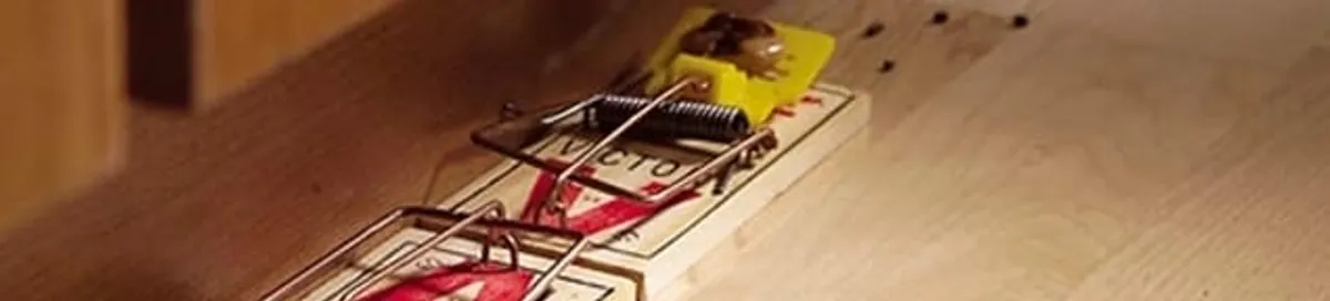 Rodent trap set indoors for rodent control and prevention in Milwaukee, WI