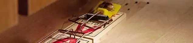 Rodent trap set indoors for rodent control and prevention in Milwaukee, WI